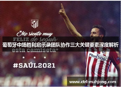 葡萄牙中场胜利启示录团队协作三大关键要素深度解析 葡萄牙中场胜利启示录团队协作三大关键要素深度解析